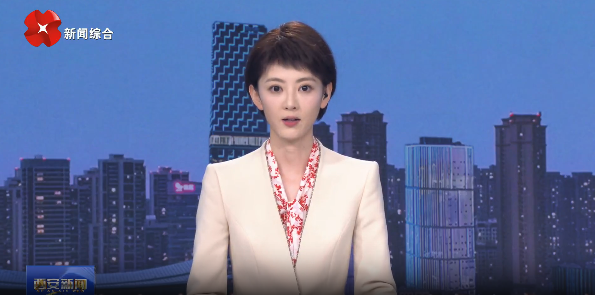 叶牛平在高新区调研